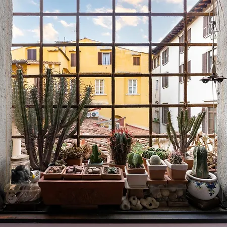 Apartment Bombarde - Flo Florenz